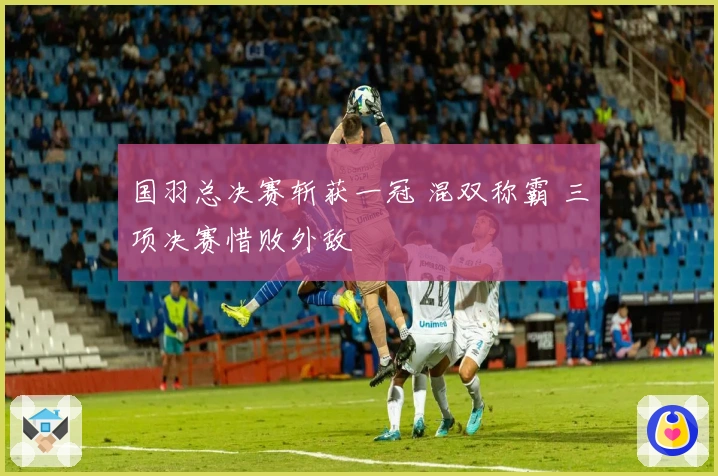国羽总决赛斩获一冠 混双称霸 三项决赛惜败外敌