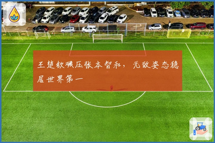 王楚钦碾压张本智和，无敌姿态稳居世界第一